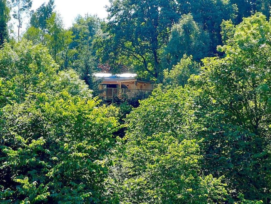The Pines Treehouse At Treetops Hideouts Ричмонд Екстер'єр фото