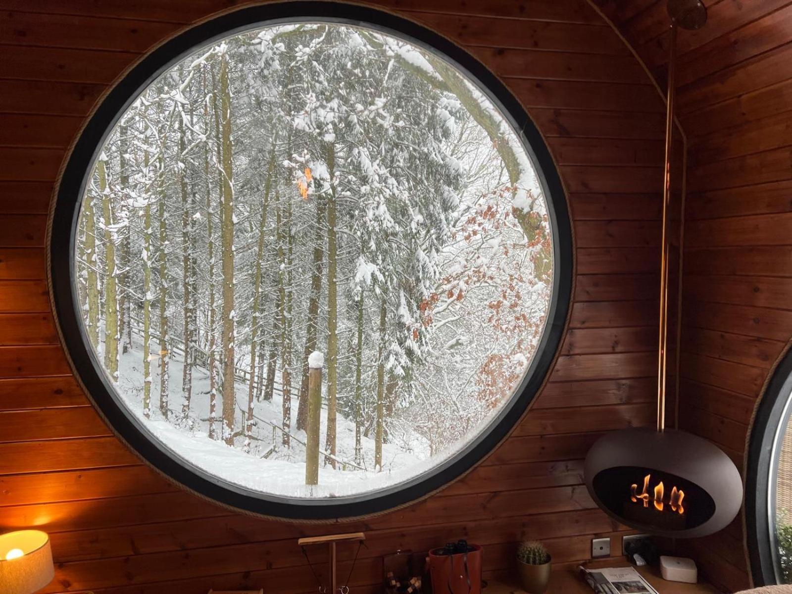 The Pines Treehouse At Treetops Hideouts Ричмонд Екстер'єр фото